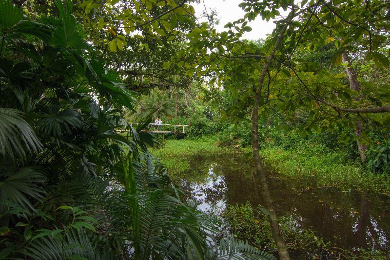 Crocodile Bay Resort Puerto Jiménez Екстериор снимка